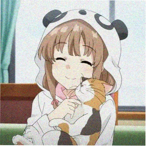 动漫迷